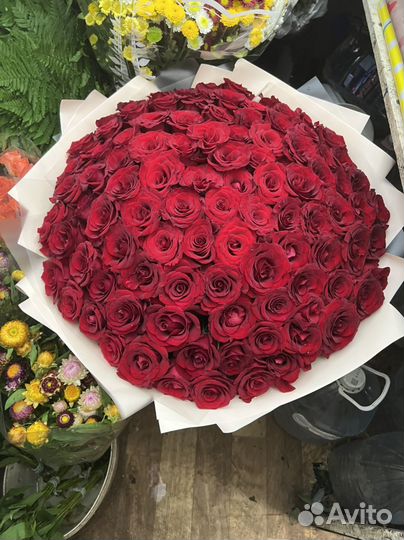 Крымская Роза