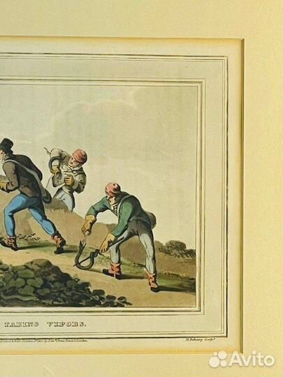 Винтажная гравюра