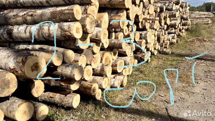 Береза, кругляк, фанкряж дорого