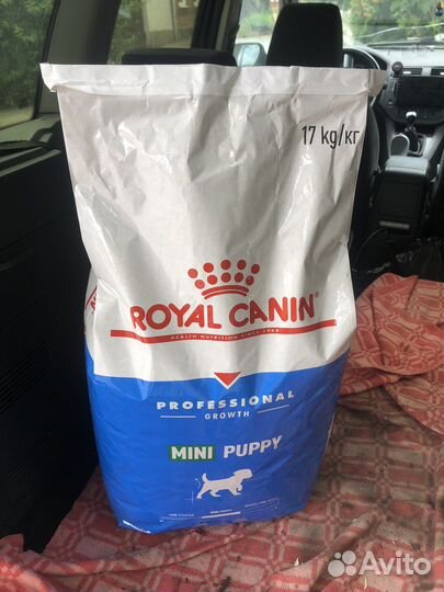 Корм для собак