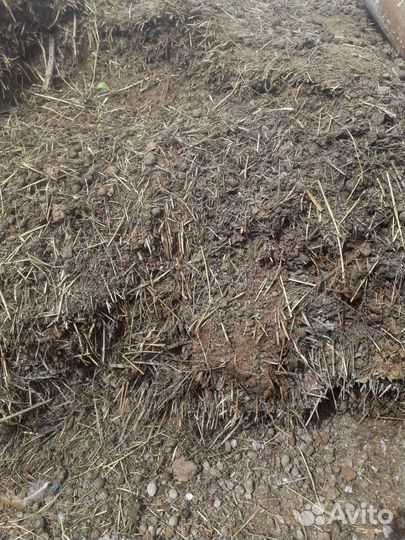 Навоз, перегной