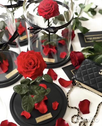 Роза в колбе