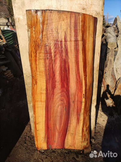 Слэб (спил) секвойя