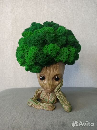 Грут с пышной шапкой мха