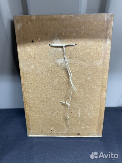 Портрет Жуков