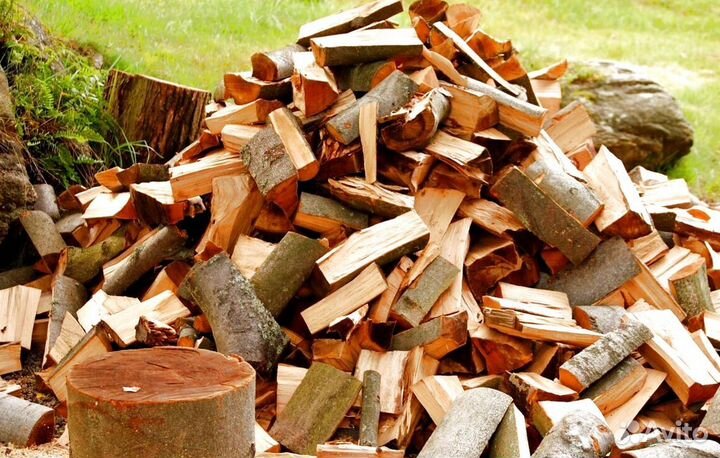 Дрова свежие