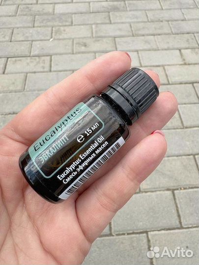 Эфирное масло Эвкалипт