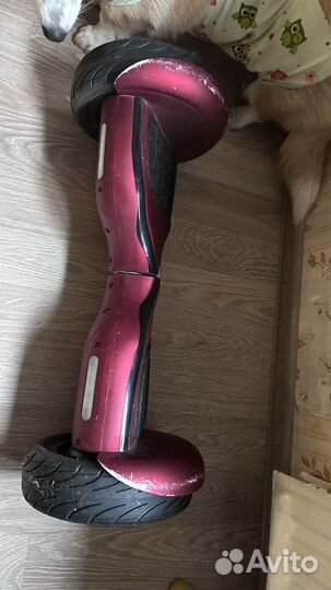 Гироскутер