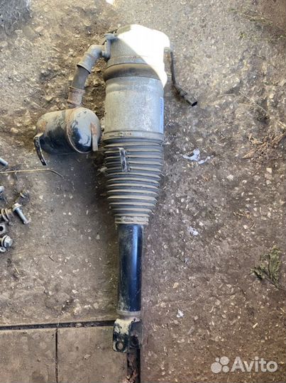 Пневмостойка задняя R Ауди А8 Д3