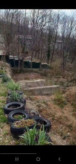 Участок 6 сот. (СНТ, ДНП)