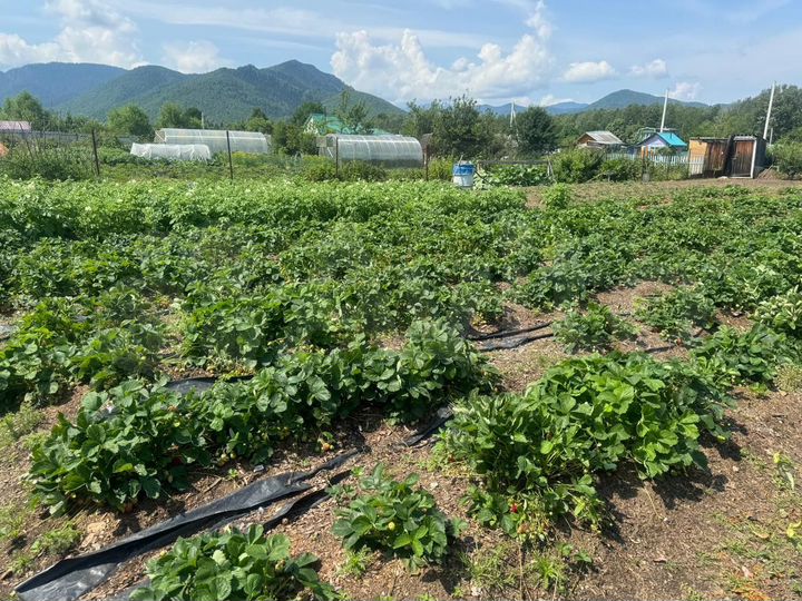 Дача 30 м² на участке 10 сот.