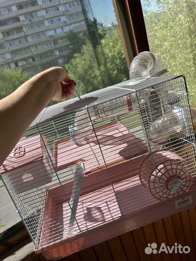 Клетка для грызунов бу