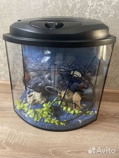 Аквариум