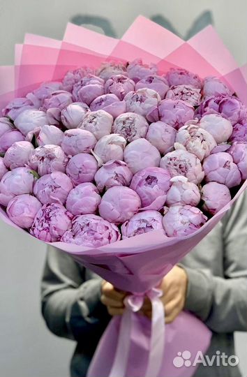 Голландские пионы