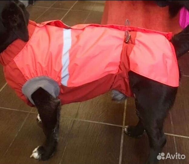 Комбинезон для собаки