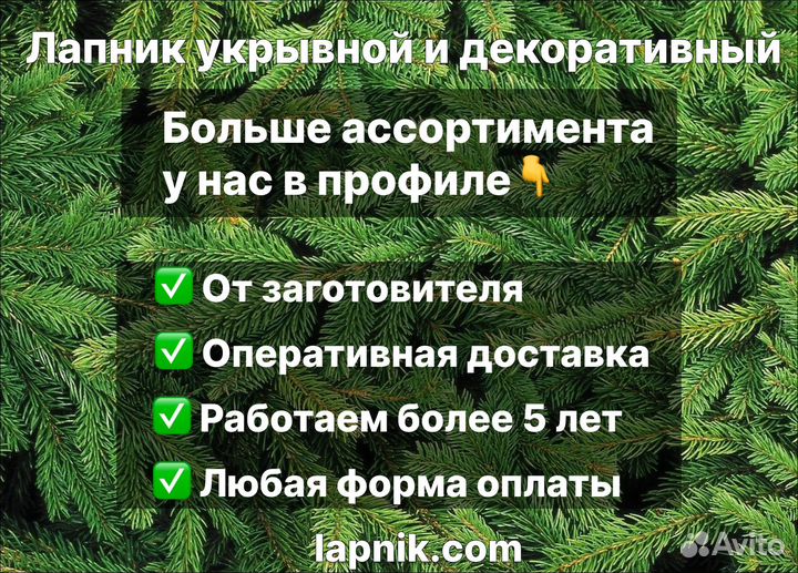 Лапник пихтовый