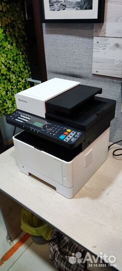 Принтер сканер копир лазерный