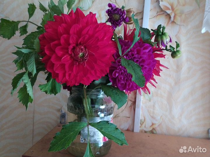 Букеты из георгинов