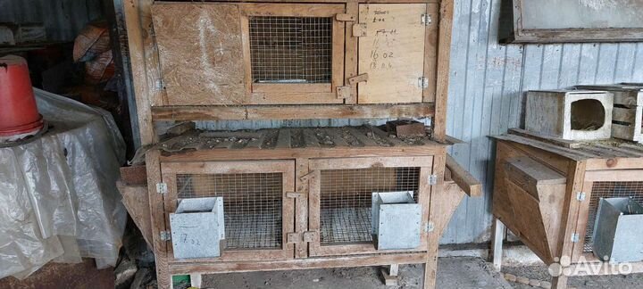 Клетки для кролов