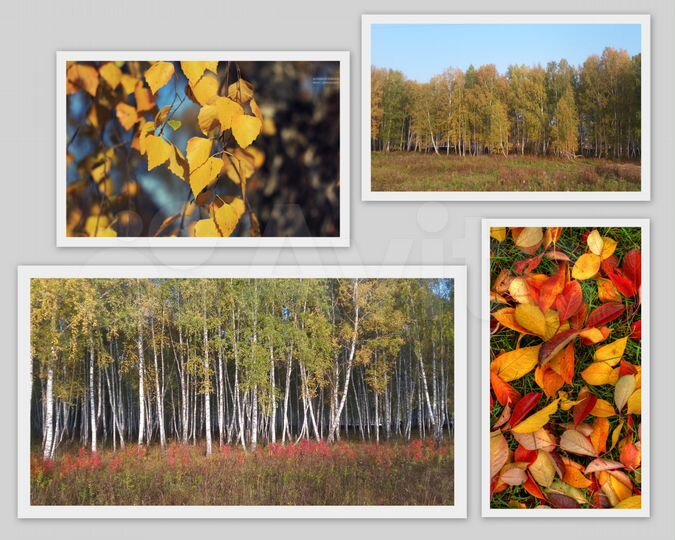 Участок 15 сот. (СНТ, ДНП)