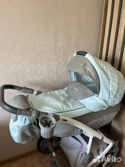 Коляска carello 2 в 1