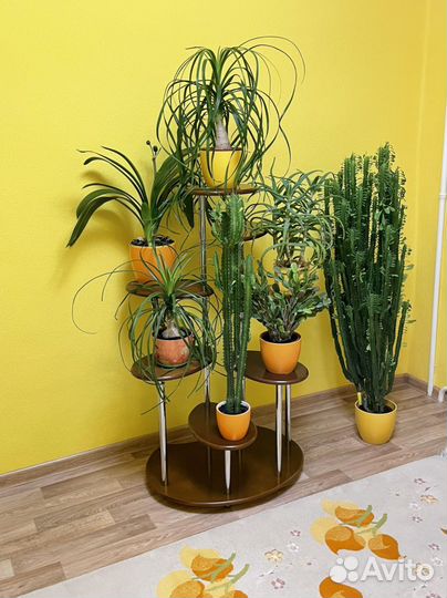 Полки для цветов