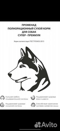 Корм супер-премиум променад