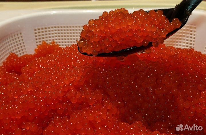 Икра красная оптом