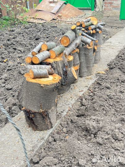 Дрова фруктовые