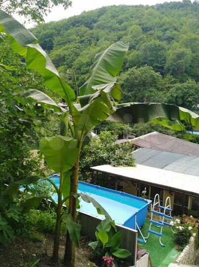 Комната 20 м², 1/2 эт.