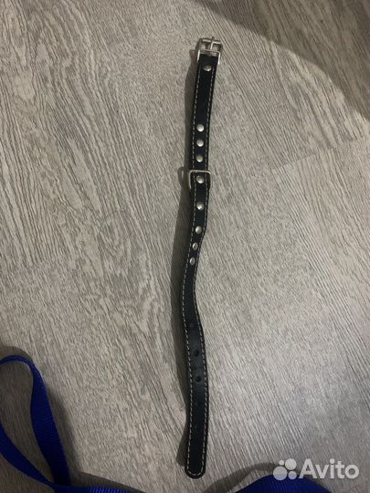 Поводок для маленьких собак