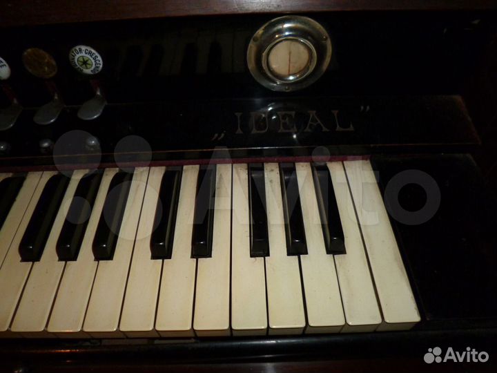 Фисгармония