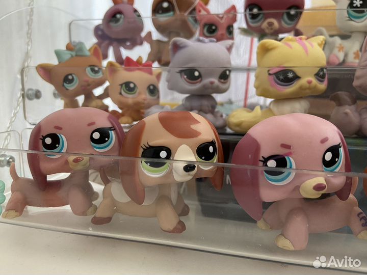 Littlest pet shop lps