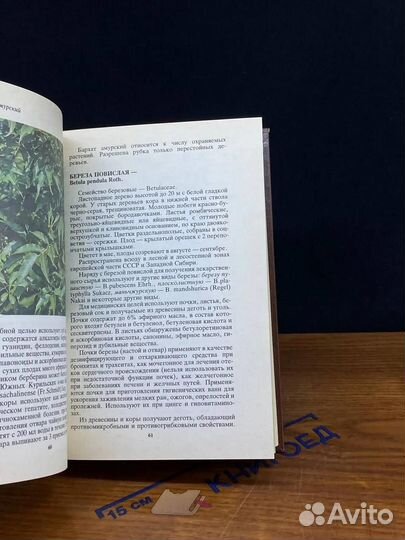 Аптека в лесу