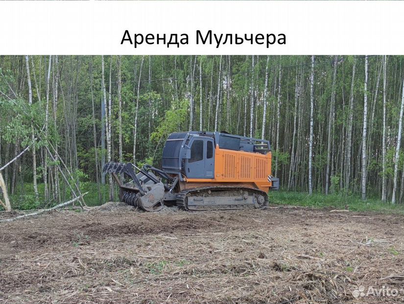 Аренда Мульчера