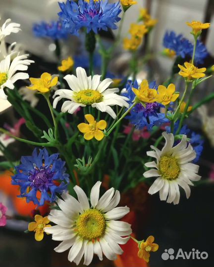 Ромашки из холодного фарфора