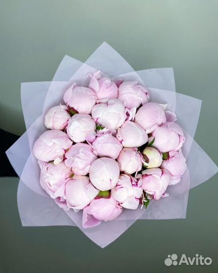 Пионы букет сочи