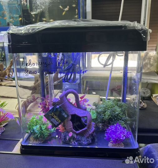 Продажа аквариумов, рыбок, оборудование