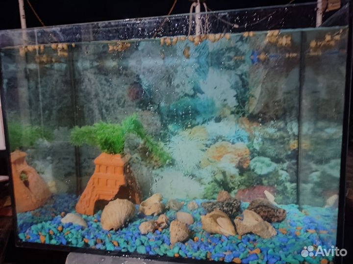 Аквариум