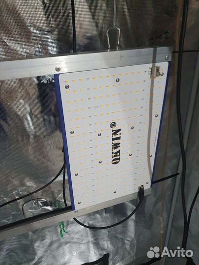 Набор для выращивания микрозелени