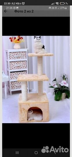 Когтеточка новая