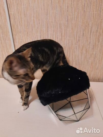 Шапка норковая женская