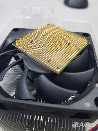 Процессор AMD Phenom II