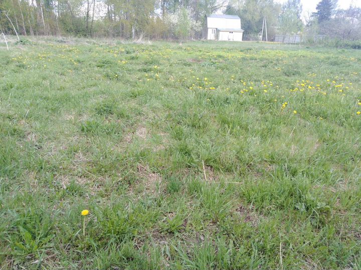 Участок 25 сот. (СНТ, ДНП)