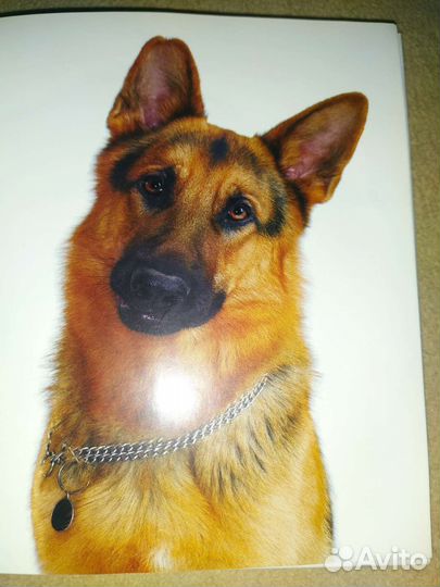 Книги о собаках