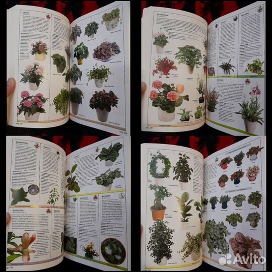 Книги о комнатных растениях 2шт