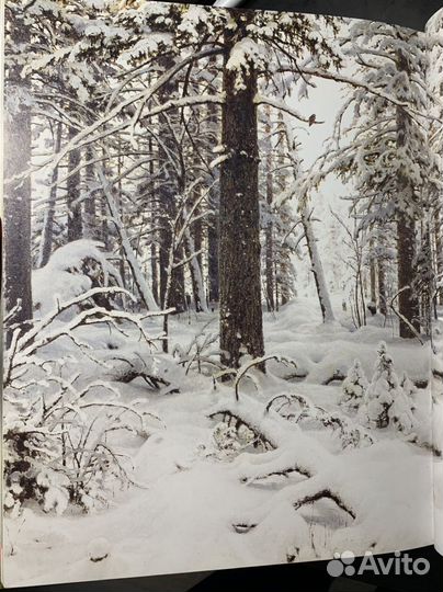 Альбом Иван Шишкин Галерея Русских Художников