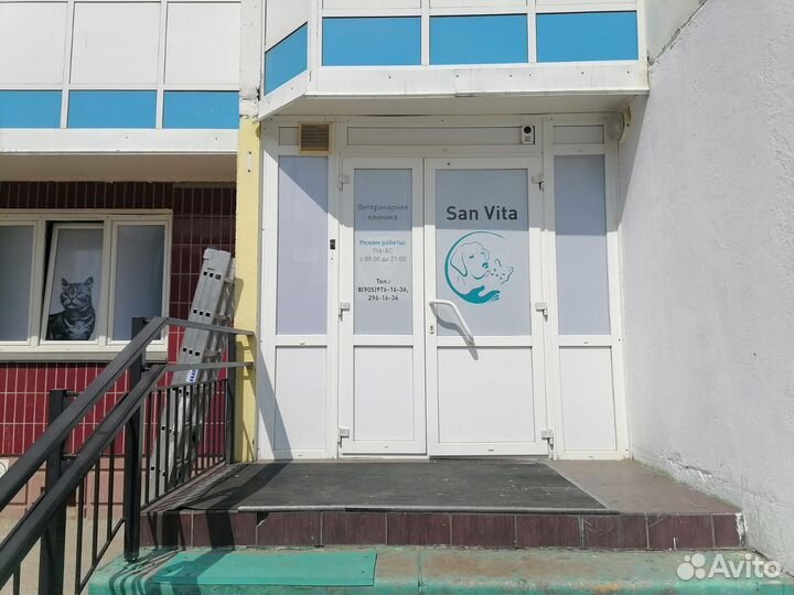 Наклейки на окна, оформление витрин пленкой