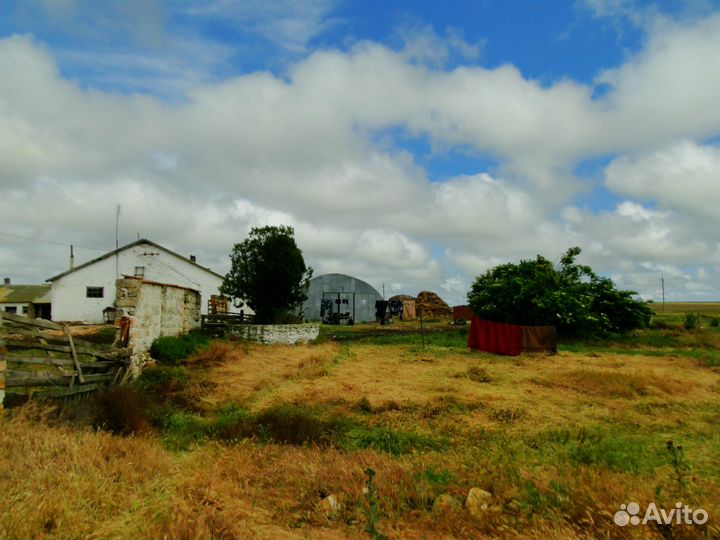 Кошара, 82,2 га