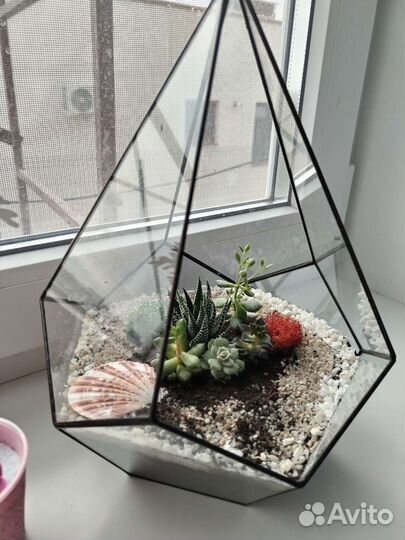 Флорариум на заказ и в наличии